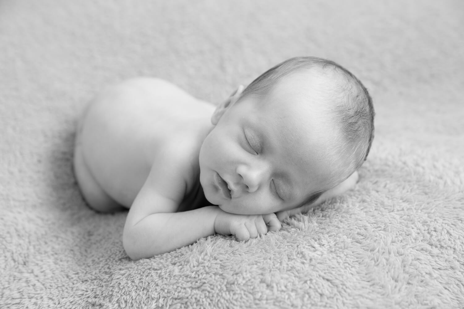 Wagga Wagga Newborn Photography