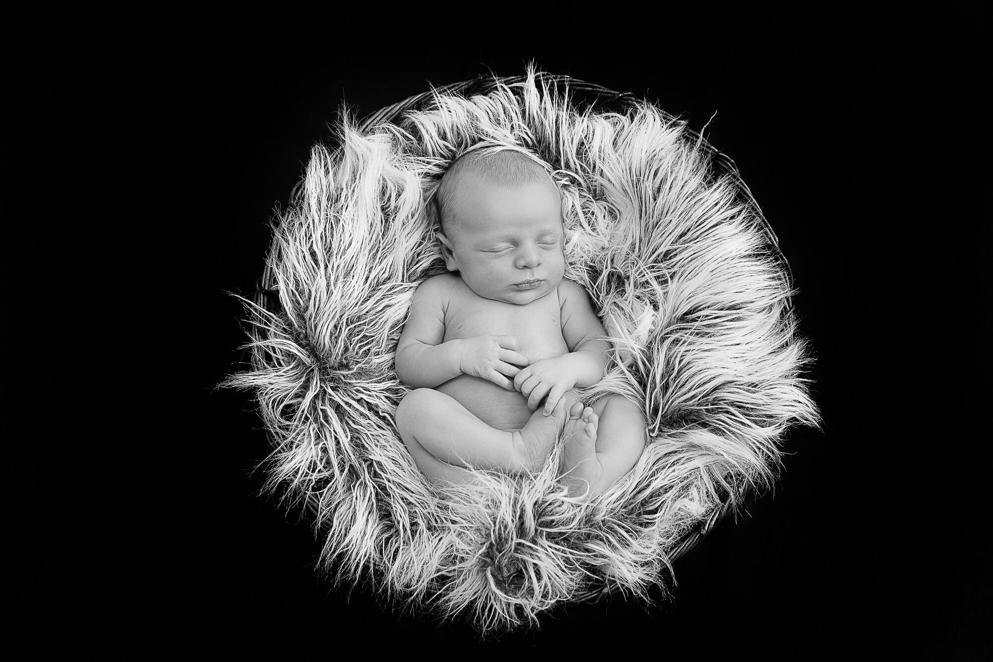 wagga newborn photography