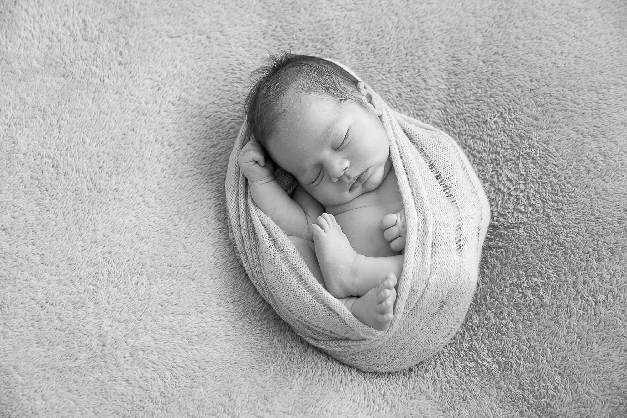 wagga newborn photography