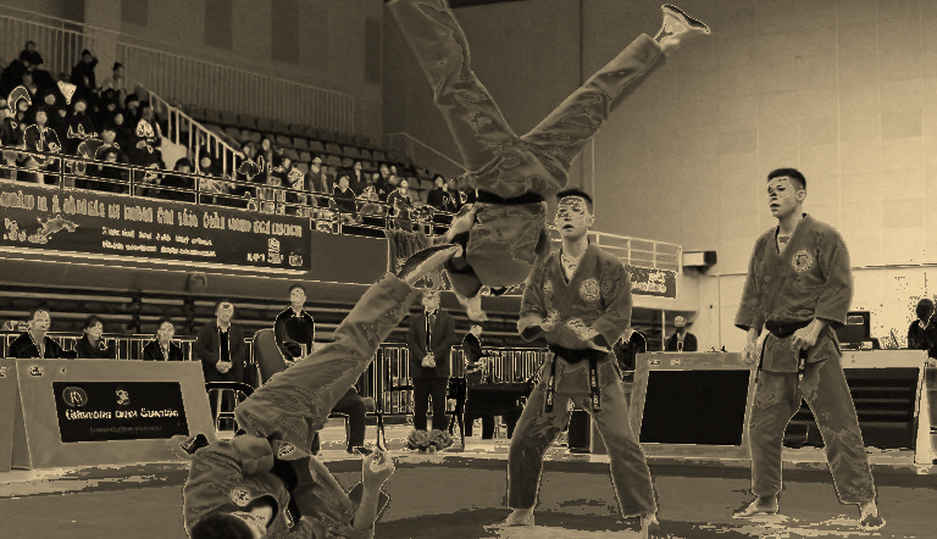 When the Stands Are Empty: Lessons from Mistakes in Martial Arts Analysis