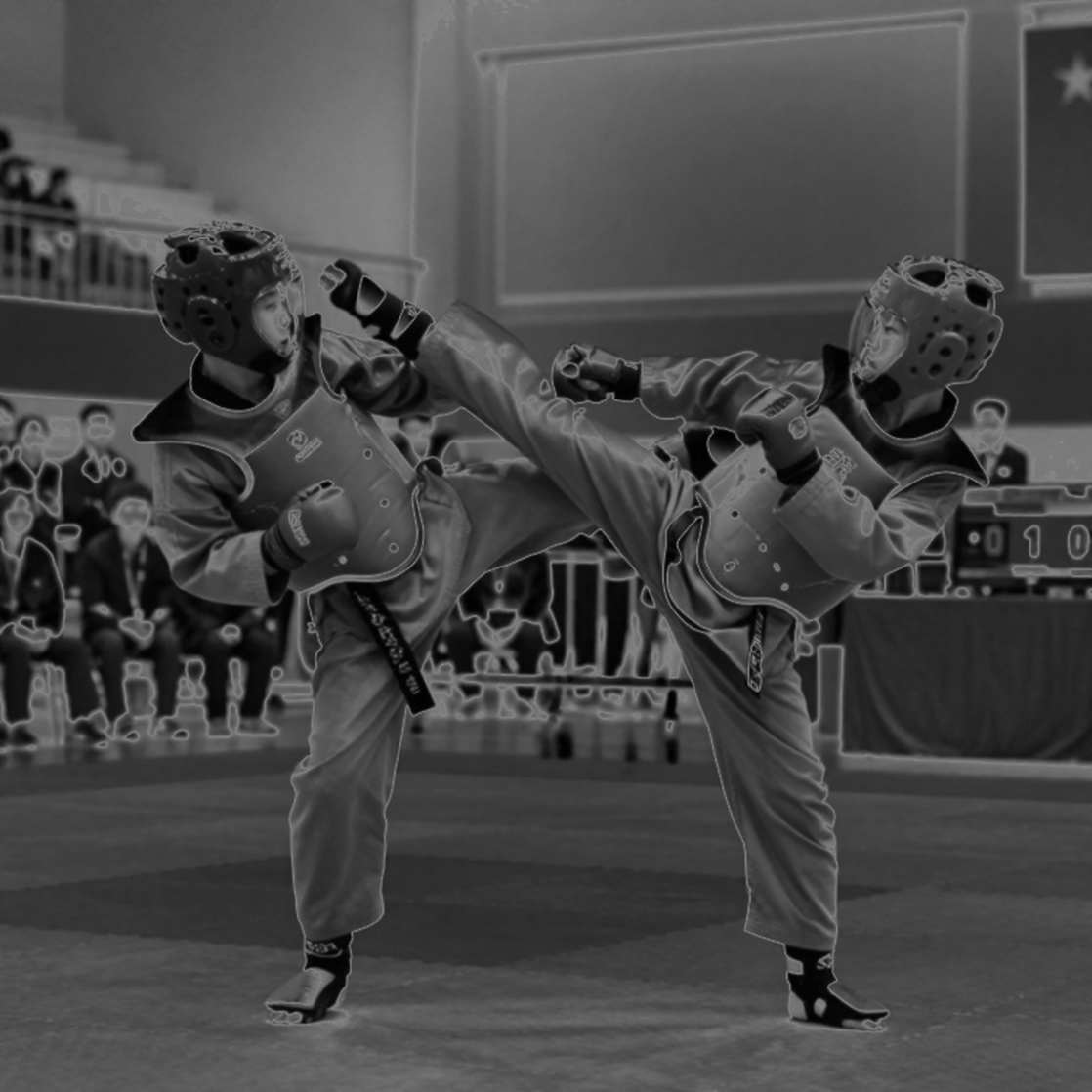 The Wushu Medal Rain and the Silver Net China Had Already Set The Wushu Medal Rain and the Silver Net China Had Already Set