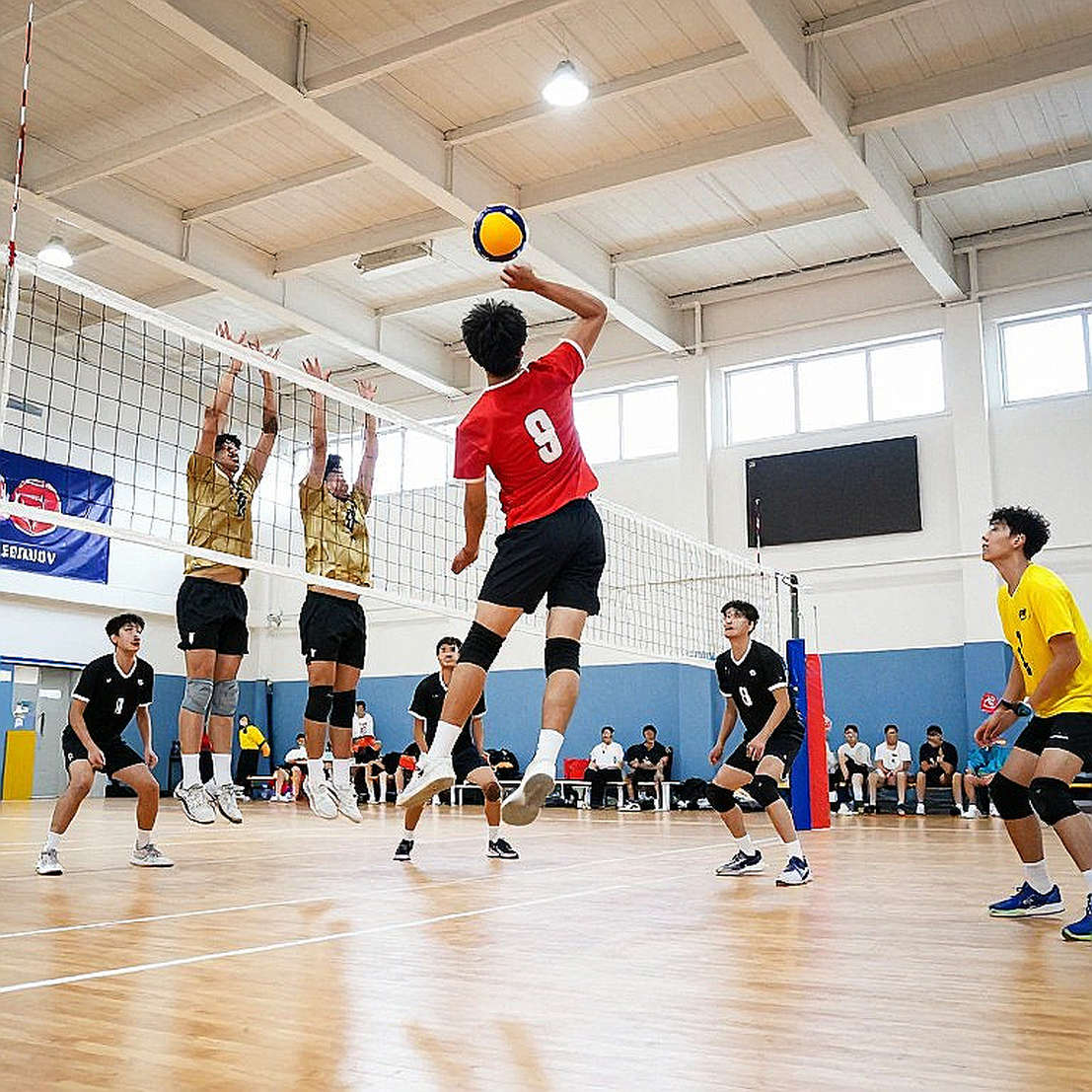 Giải mã 30 năm danh hiệu MOP bóng chuyền nữ NCAA (2026–2026): Vị trí thi đấu, đường ống bãi biển và cái bẫy hào quang