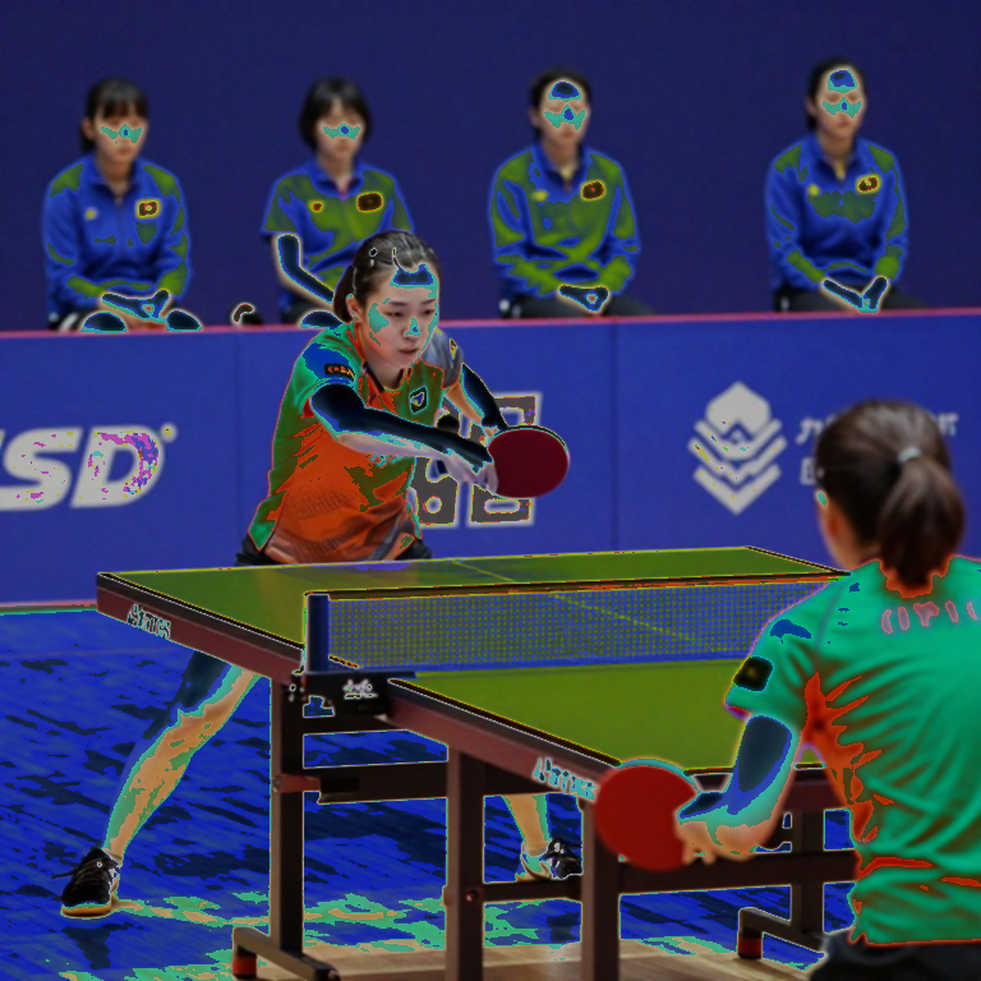 World Hopes Week 2026 trở lại Sheffield: Bản đồ đường ống đào tạo mà bảng điểm không bao giờ phơi bày
